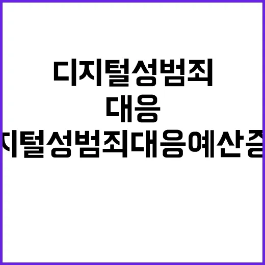 디지털성범죄 대응 …