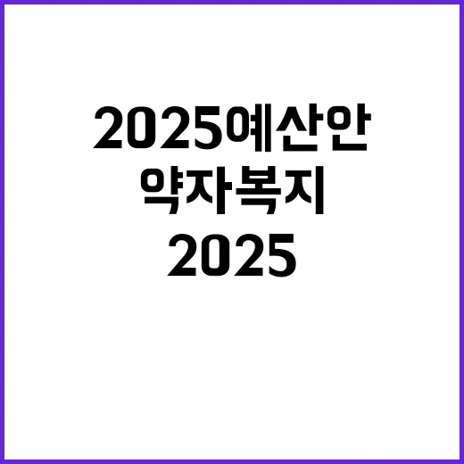 2025 예산안 더…