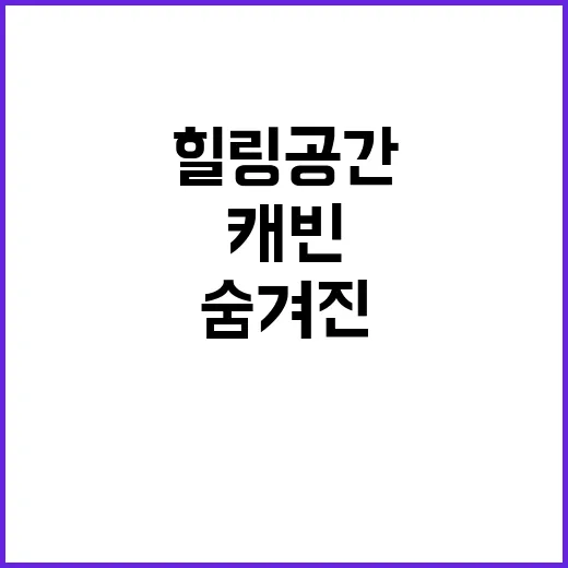 캐빈