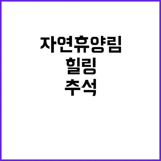 자연휴양림 추석 힐링 장소 118곳 공개!