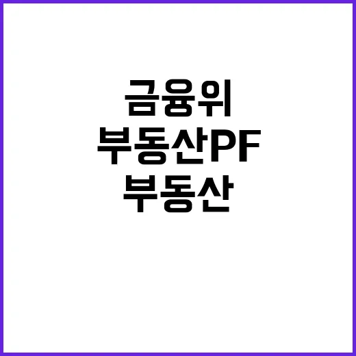 부동산 PF 금융위의 진짜 입장 공개!