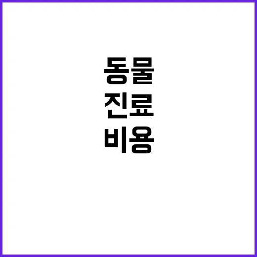 동물병원 초음파 비용 공개 진료 선택권 확대!