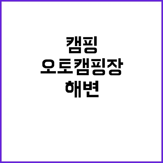 돌고래오토캠핑장2 …