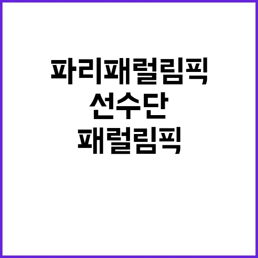 파리패럴림픽 선수단 귀국 지원 계획 공개됐다!