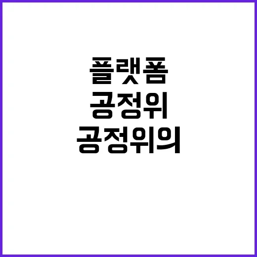 플랫폼 법안 공정위…