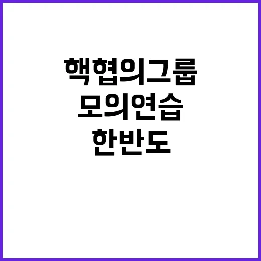 핵협의그룹 한반도 …