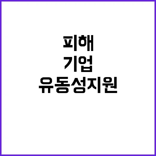 유동성 지원 피해기…