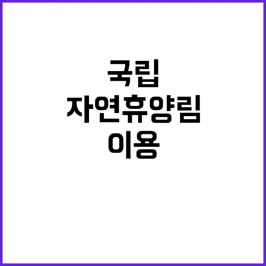 국립자연휴양림 ‘무료’ 이용 꿀팁 공개!