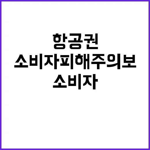 항공권 소비자 피해…