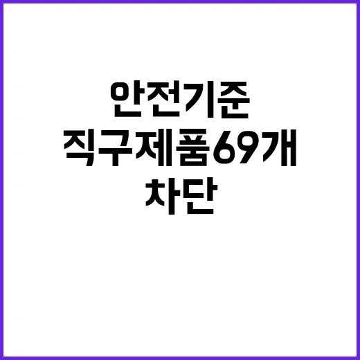 안전기준 미달 알리·테무 직구 제품 69개 차단!