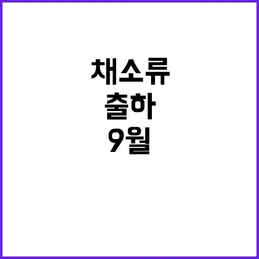 채소류 9월 출하지역 증가로 수급상황 개선!