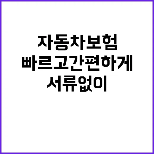 자동차보험 보상 청…