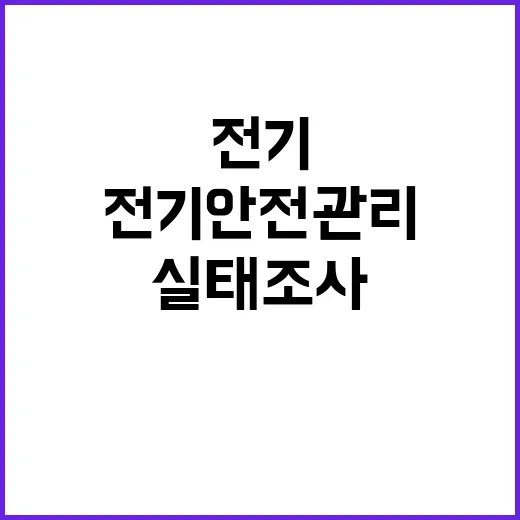 전기안전관리 700곳 실태조사 결과 공개!