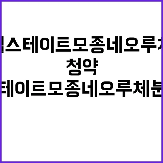 힐스테이트 모종 네오루체 분양가 청약 일정 공개!