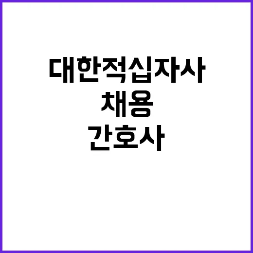 대한적십자사 정규직…