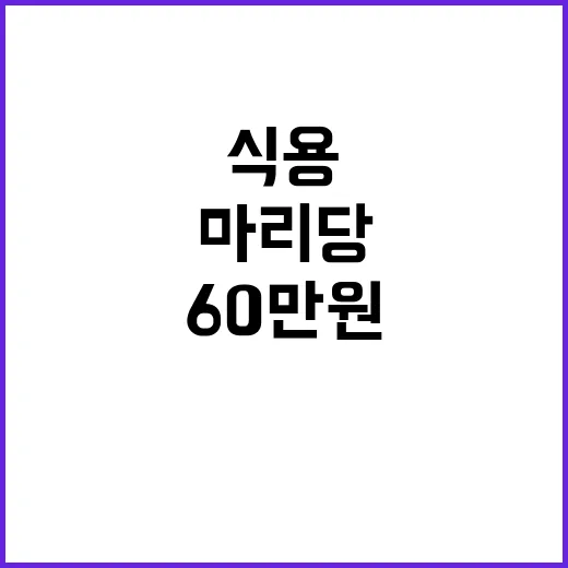 개 식용 폐업 마리당 60만 원 지원 발표!