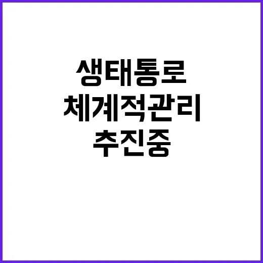 생태통로 체계적 관리로 환경 보호 추진 중!