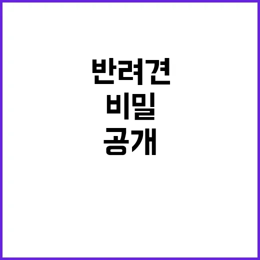 행복한 동행 사람과…