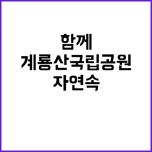 국립공원공단 비정규…