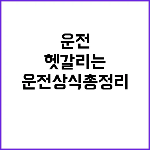 운전상식 총정리 뒤돌면 헷갈리는 상황들!