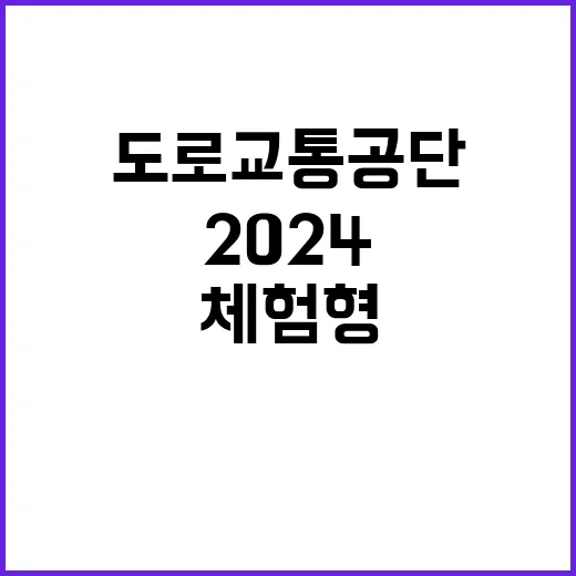 2024년 하반기 체험형 청년인턴 모집 공고