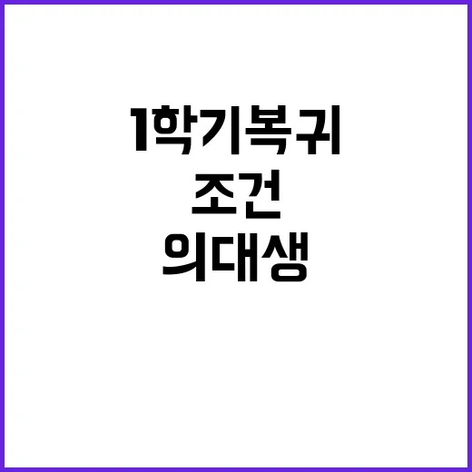 의대생들 내년도 1…