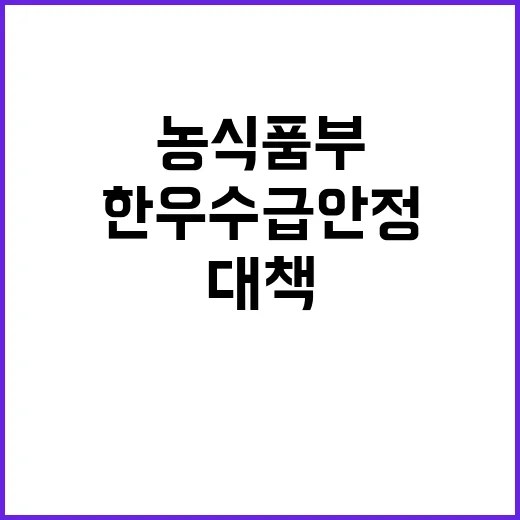 한우 수급 안정 농식품부의 중장기 대책 공개!