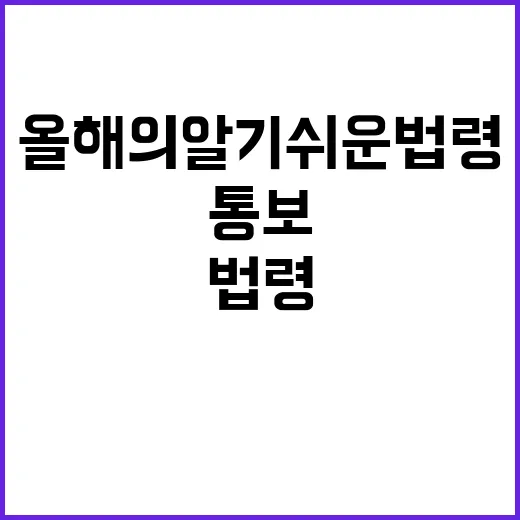 먼지 날림 통보 올해의 알기 쉬운 법령!