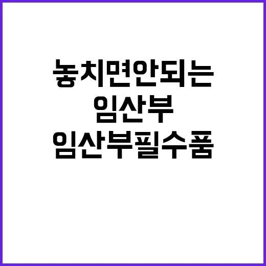 임산부 필수품 놓치면 안되는 네 가지!