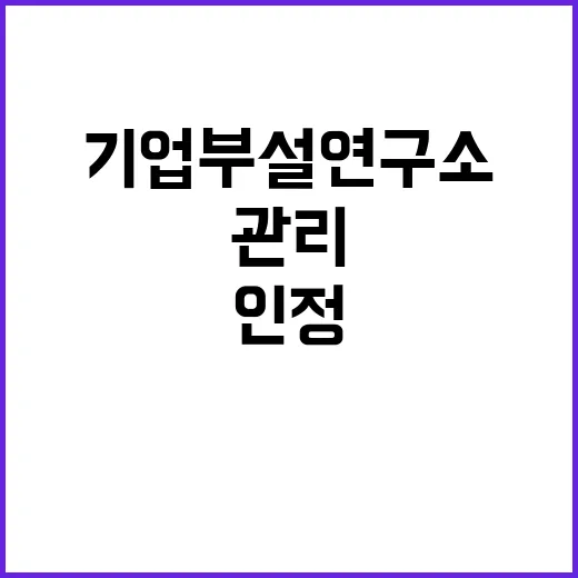 “기업부설연구소 인정제도 위반 관리 방안 공개!”