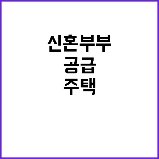 신혼부부 공공주택 …