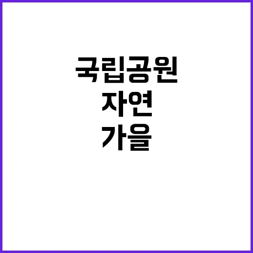 국립공원공단 비정규…