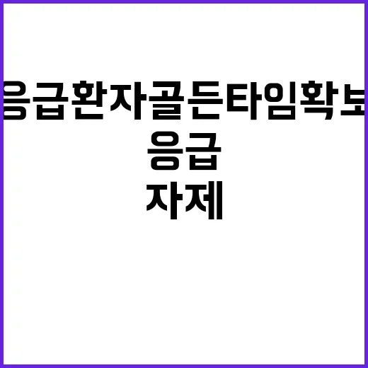 응급환자 골든타임 …