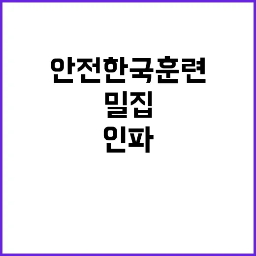 안전한국훈련 인파밀집 사고 대비 필수 프로그램 공개!