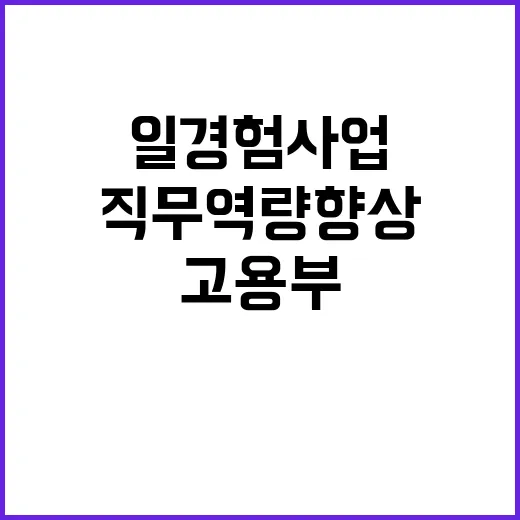 고용부 일경험 사업…