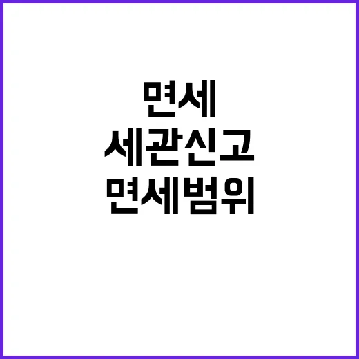 면세범위 미초과 세관 신고 필요 없다!