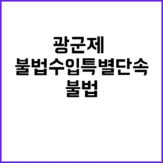 불법수입 특별단속 …