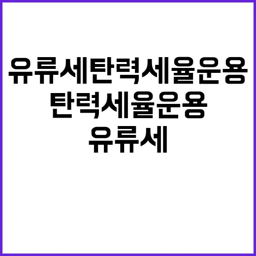 수산물 안정적? 해수부의 놀라운 대답 공개!