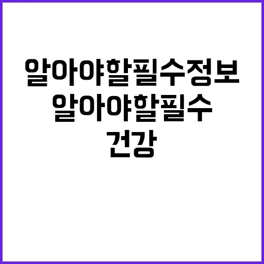 임신부 건강 의약품 사용법 알아야 할 필수 정보!