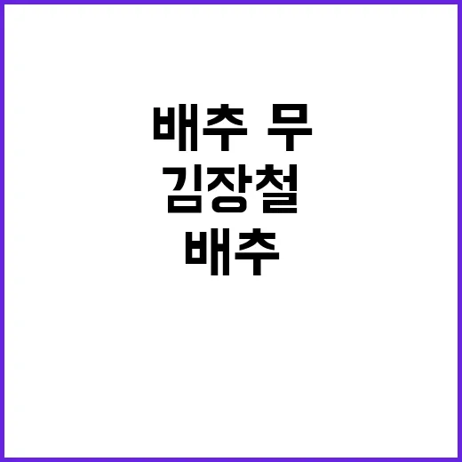 배추·무 김장철 수급 차질 없을 전망!