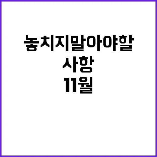 11월 정책 변화 놓치지 말아야 할 사항들!