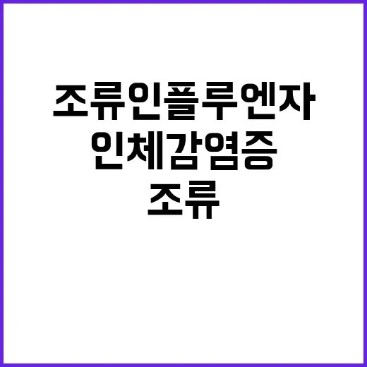 조류인플루엔자 인체…