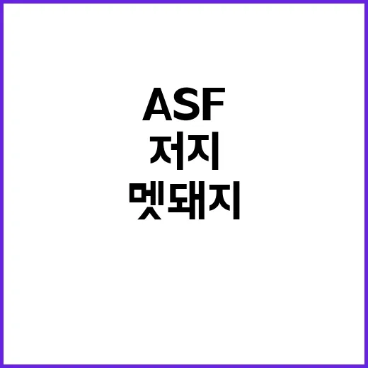 멧돼지 활동 증가 ASF 저지 위한 긴급 대응!