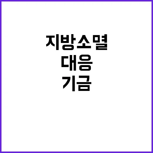 기금 지역별 차등 …