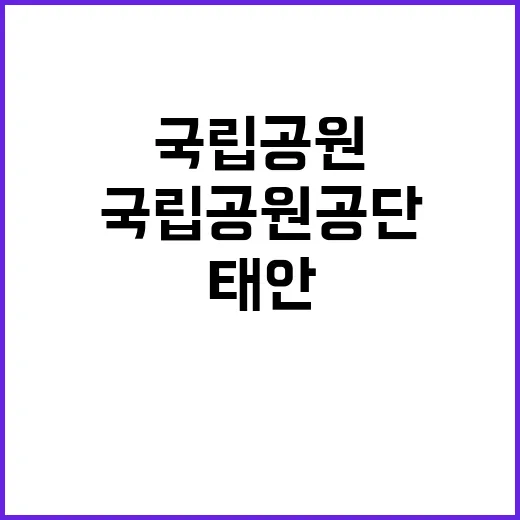 국립공원공단 비정규…