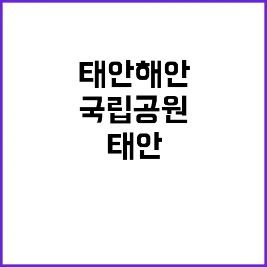 국립공원공단 비정규…