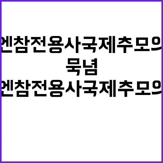 ‘유엔참전용사 국제추모의 날’ 묵념 강제성 없다!