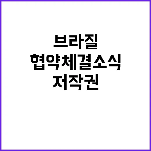 저작권 중남미 브라…