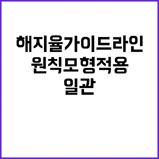 금융위 해지율 가이…