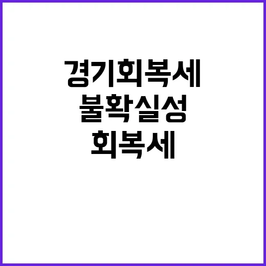 경기회복세 불확실성…